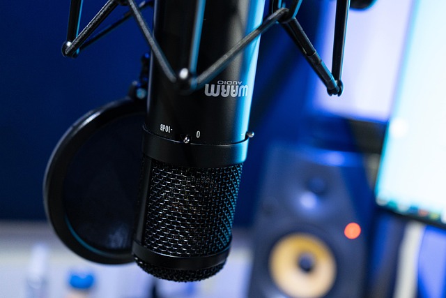 Cuffie da studio professionali
