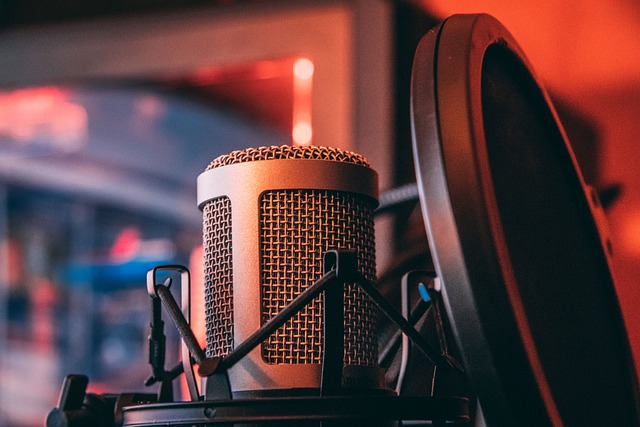 Monitor da studio audio